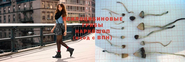 индика Лиски